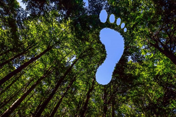 Umweltschutz kann so einfach sein